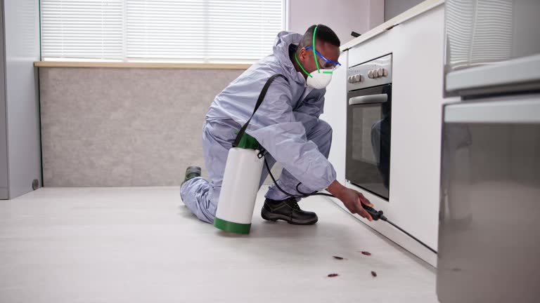 Reliable Windsor, CA Pest Control Solutions